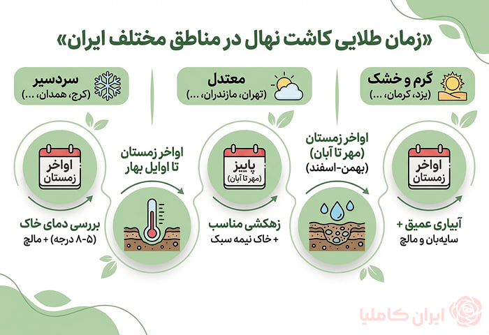 بهترین زمان کاشت نهال و بهترین فصل کاشت نهال